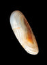 Crazy Lace Agate from Madagascar 20g Rocks and Things Store