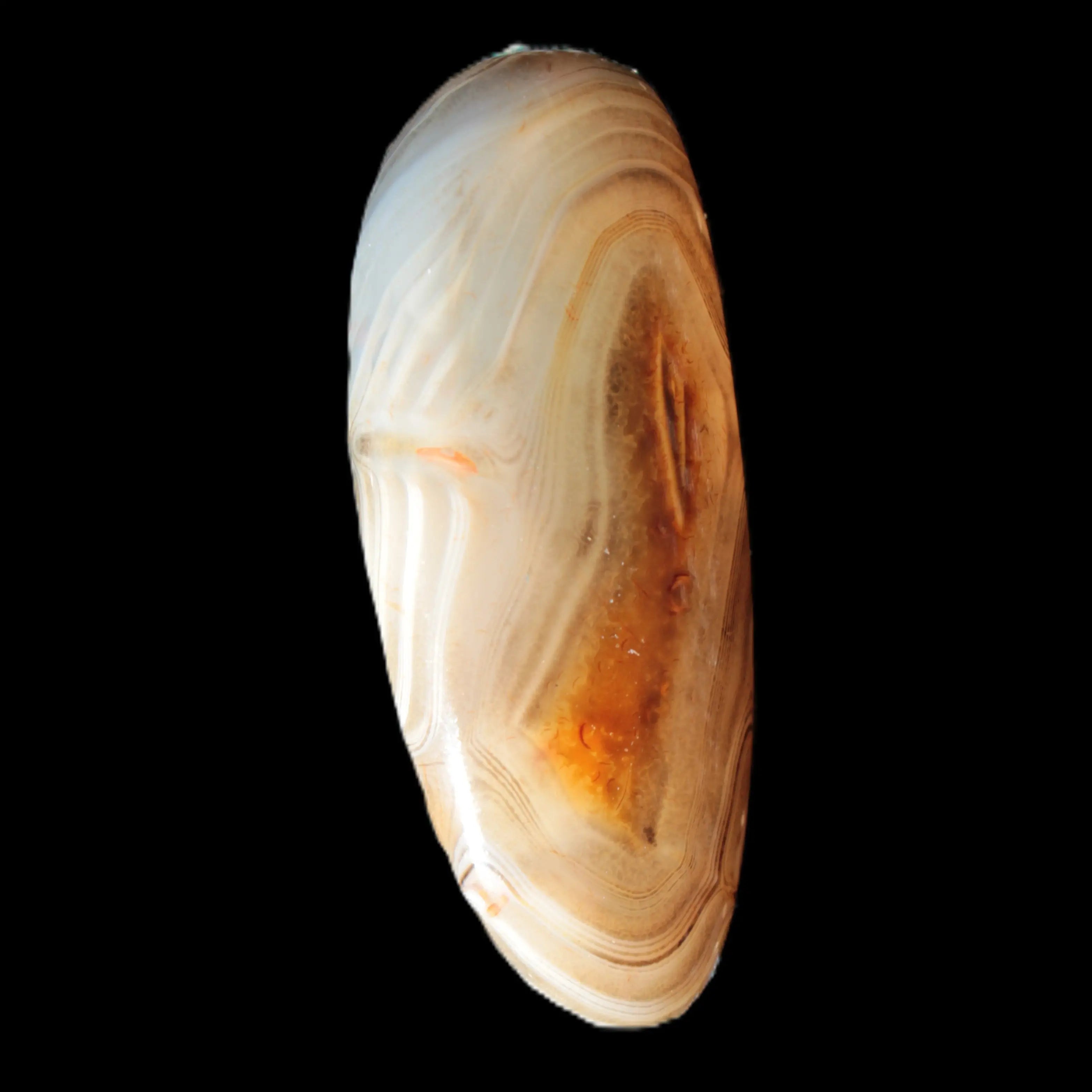 Crazy Lace Agate from Madagascar 20g Rocks and Things Store