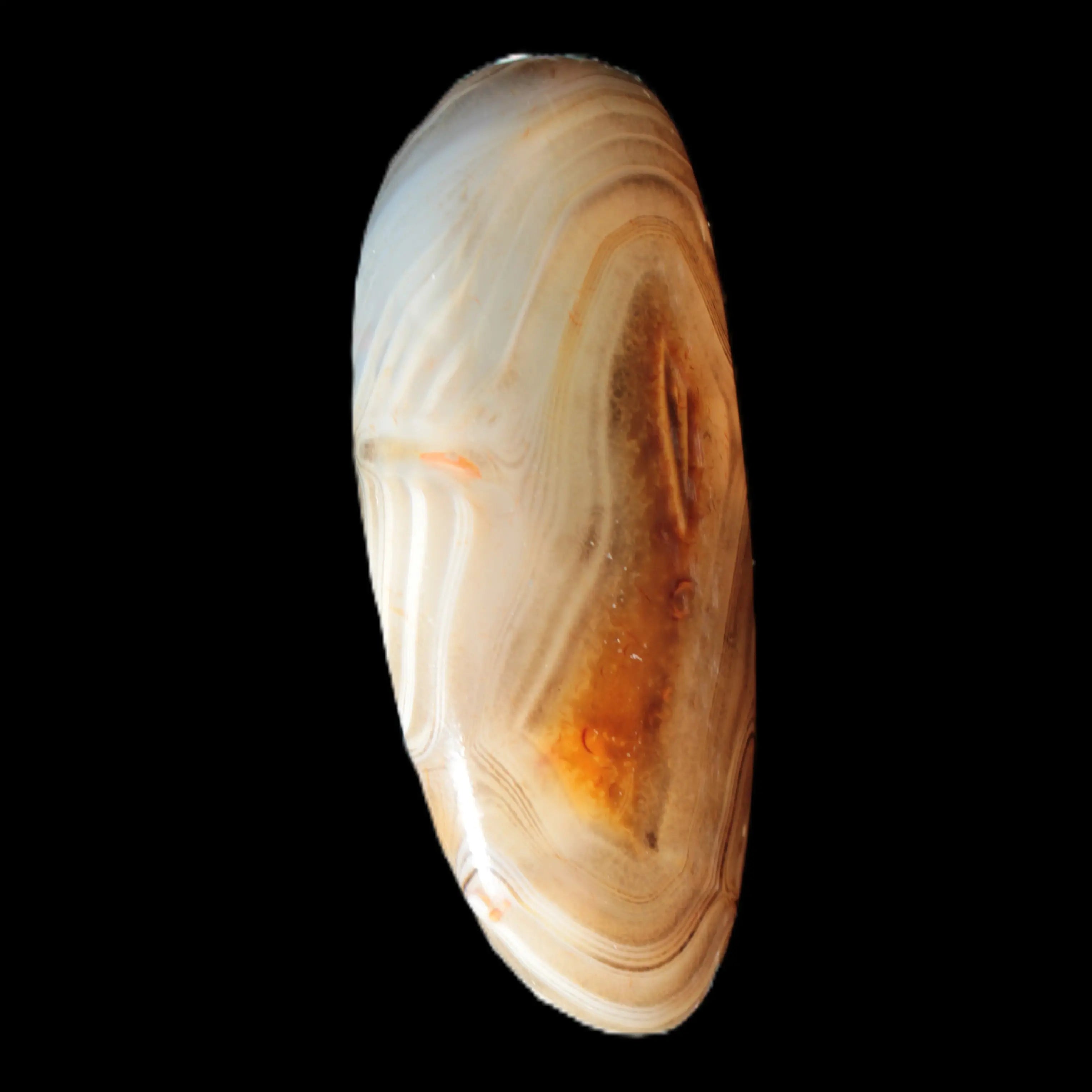 Crazy Lace Agate from Madagascar 20g Rocks and Things Store