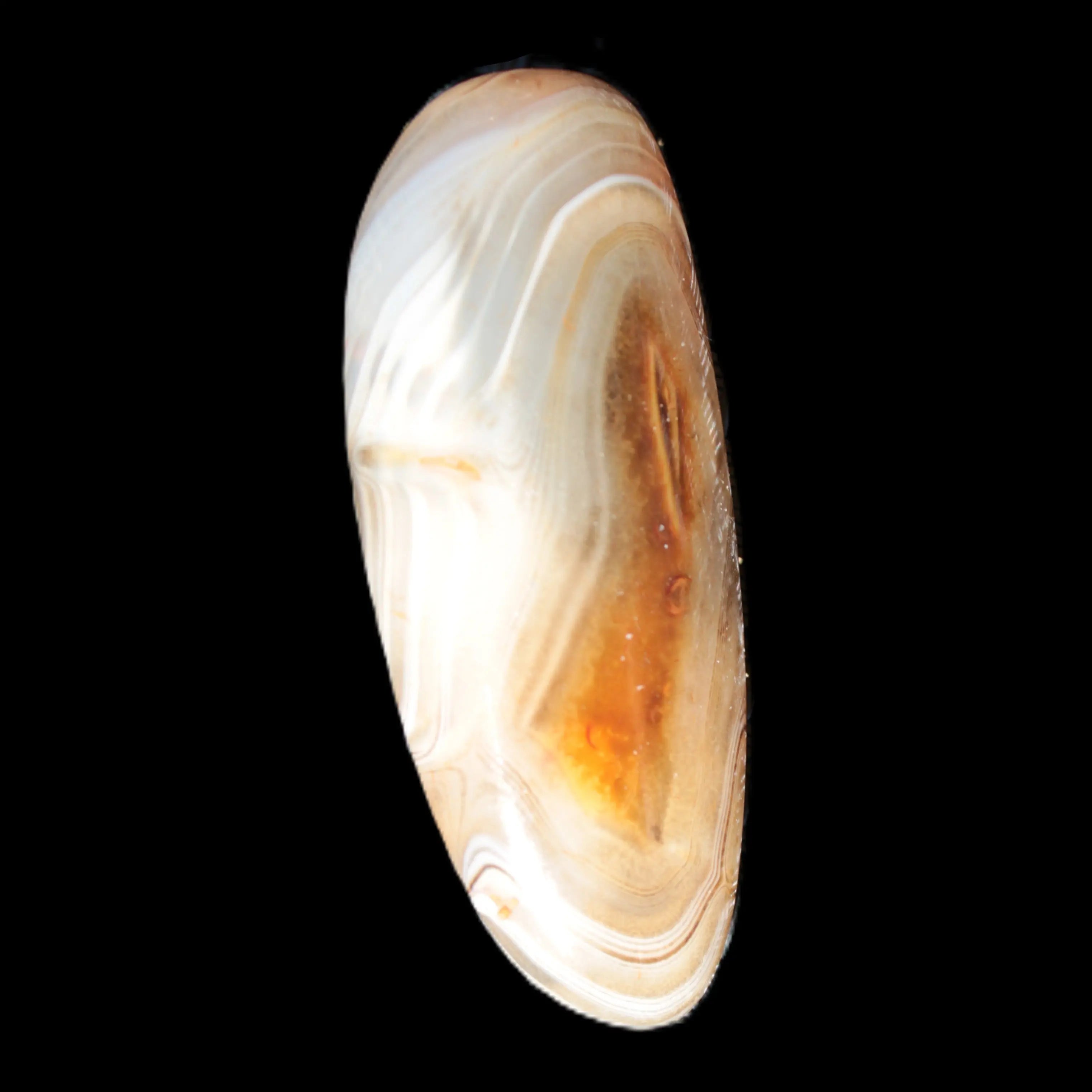 Crazy Lace Agate from Madagascar 20g Rocks and Things Store
