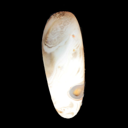 Crazy Lace Agate from Madagascar 20g Rocks and Things Store