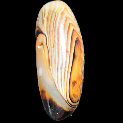 Crazy Lace Agate from Madagascar 49mm 27.6g Rocks and Things Store