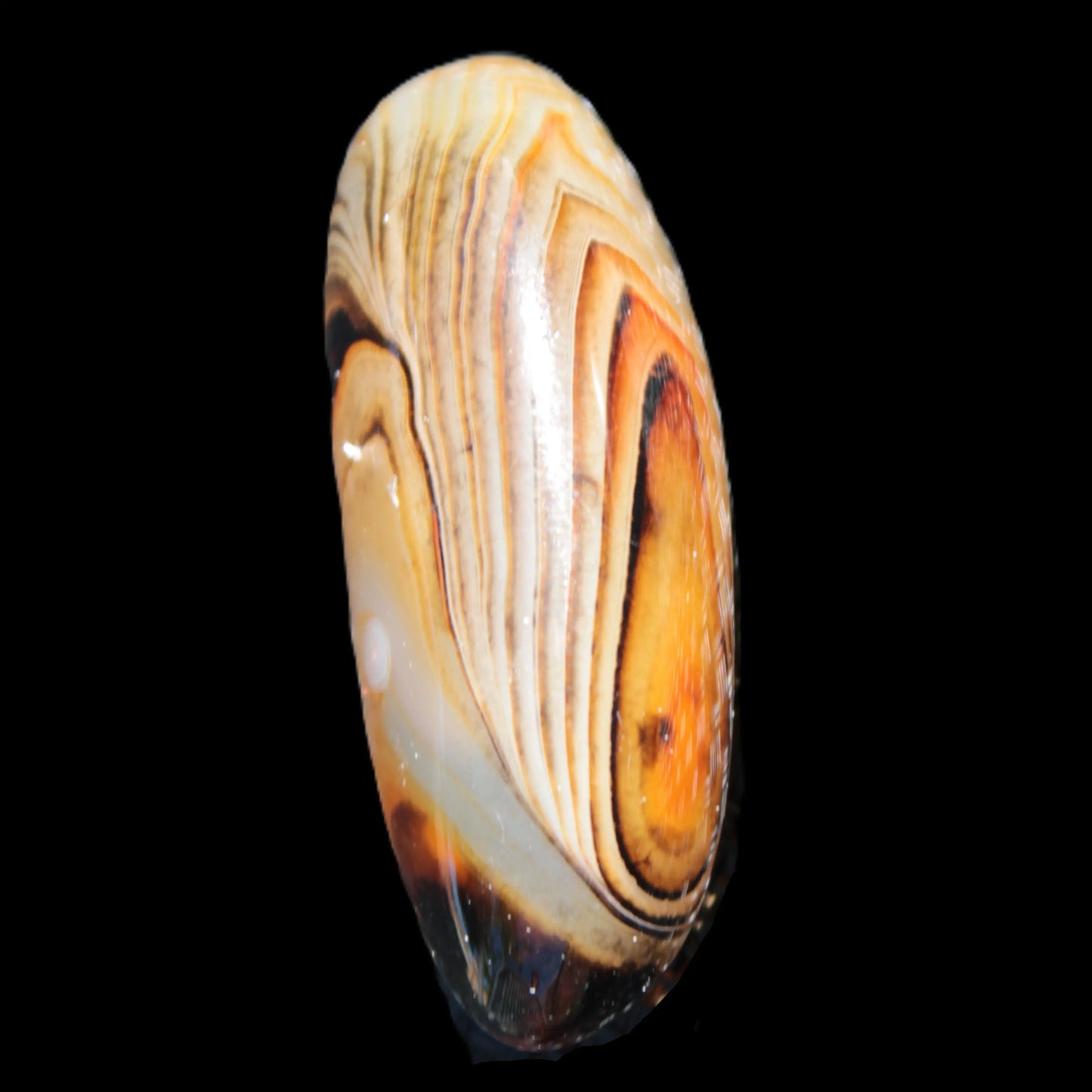 Crazy Lace Agate from Madagascar 49mm 27.6g Rocks and Things Store