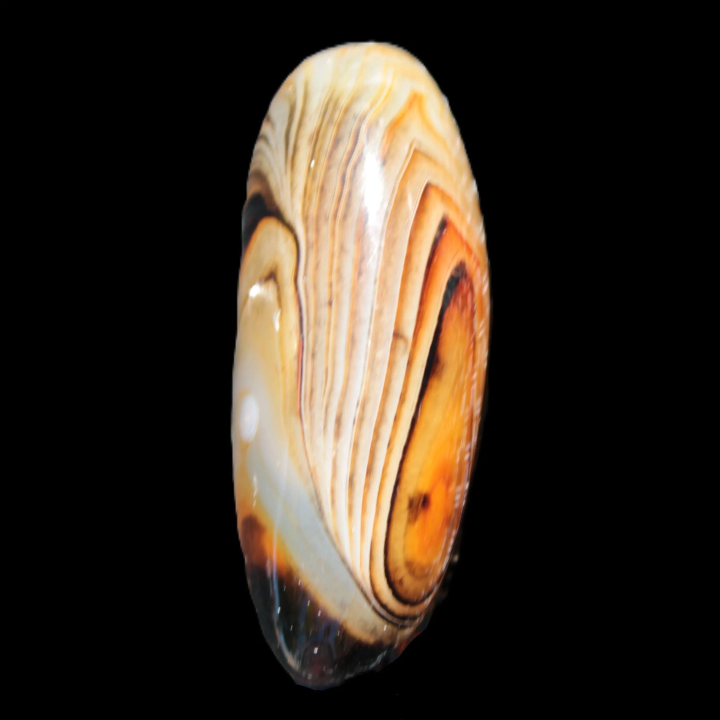 Crazy Lace Agate from Madagascar 49mm 27.6g Rocks and Things Store