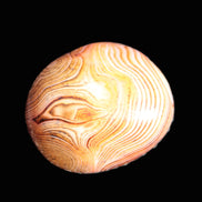 Crazy Lace Silk Banded Agate stone from Madagascar range 44-63g Rocks and Things Store