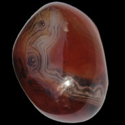 Crazy Lace Silk Banded Agate tumbled stone from Madagascar 60g in sunlight - Rocks and Things Store