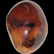 Crazy Lace Silk Banded Agate tumbled stone from Madagascar 60g in sunlight - Rocks and Things Store