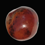 Crazy Lace Silk Banded Agate tumbled stone from Madagascar 60g in sunlight - Rocks and Things Store