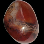 Crazy Lace Silk Banded Agate tumbled stone from Madagascar 60g in sunlight - Rocks and Things Store