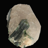 Curved Green Tourmaline crystal on Quartz 123ct  24.6g Rocks and Things Store