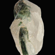 Curved Green Tourmaline crystal on Quartz 123ct  24.6g Rocks and Things Store