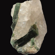 Curved Green Tourmaline crystal on Quartz 123ct  24.6g Rocks and Things Store