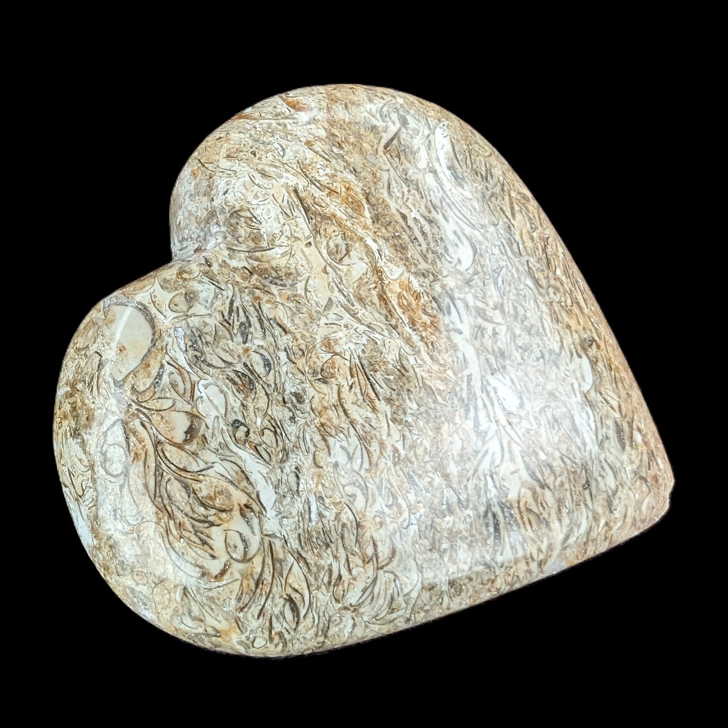 Dinosaur Bone Fossil heart from Madagascar 206g Rocks and Things