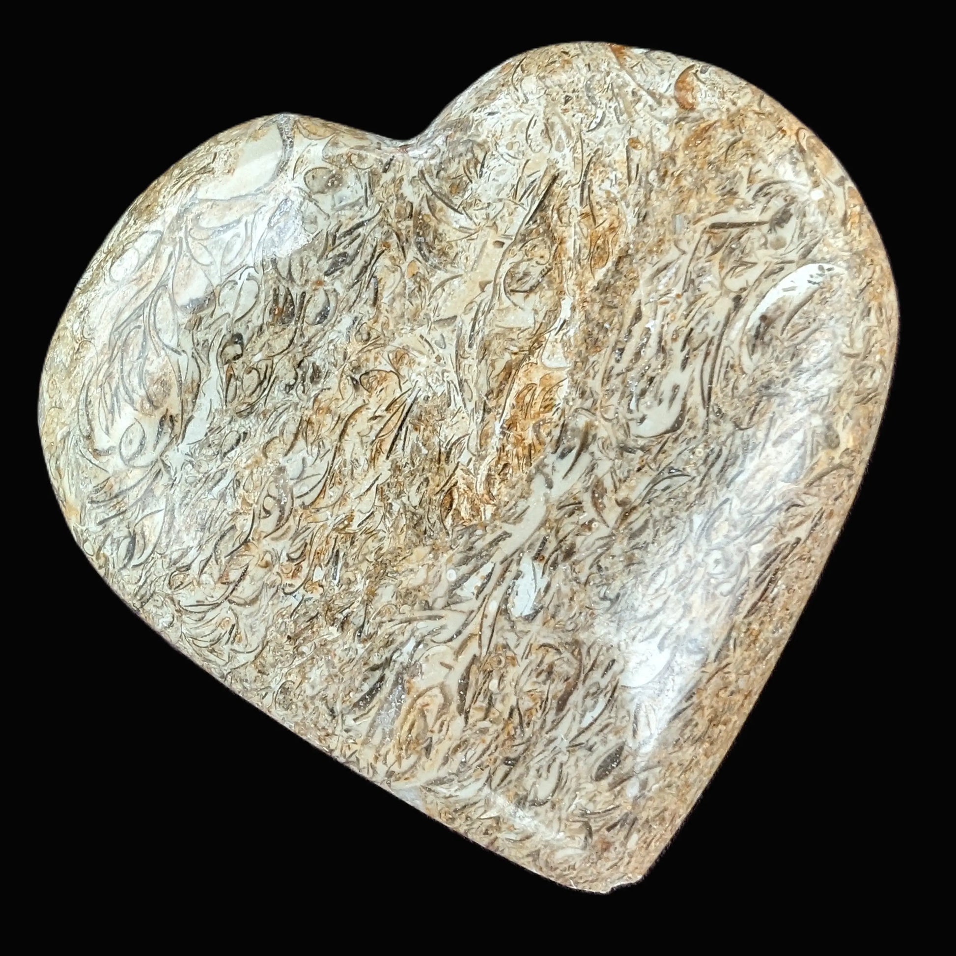 Dinosaur Bone Fossil heart from Madagascar 206g Rocks and Things