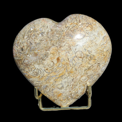 Dinosaur Bone Fossil heart from Madagascar 206g Rocks and Things