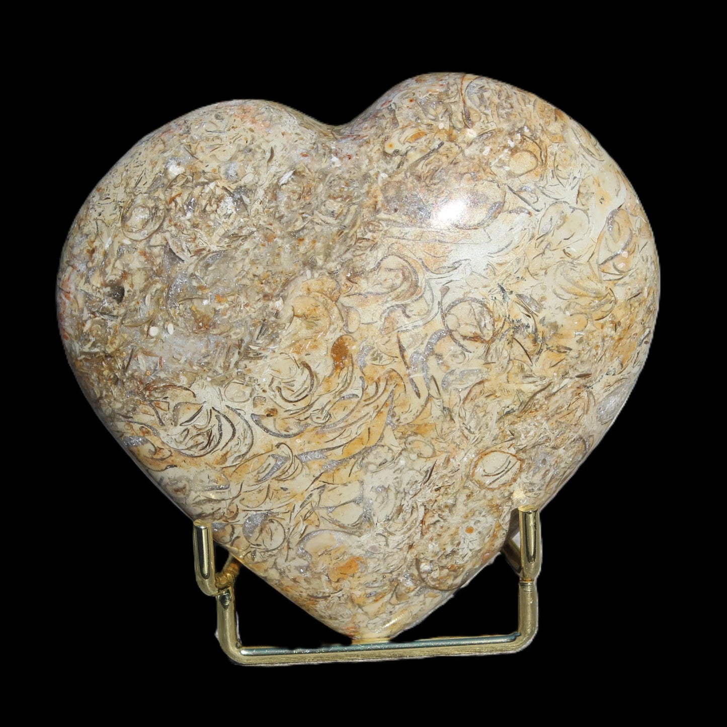 Dinosaur Bone Fossil heart from Madagascar 206g Rocks and Things