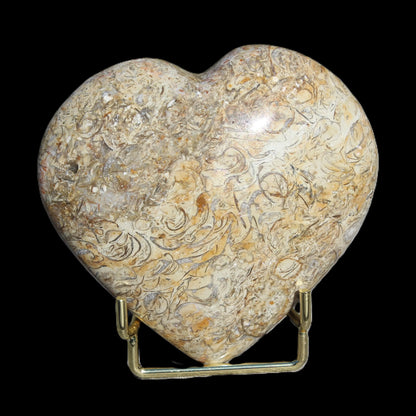 Dinosaur Bone Fossil heart from Madagascar 206g Rocks and Things