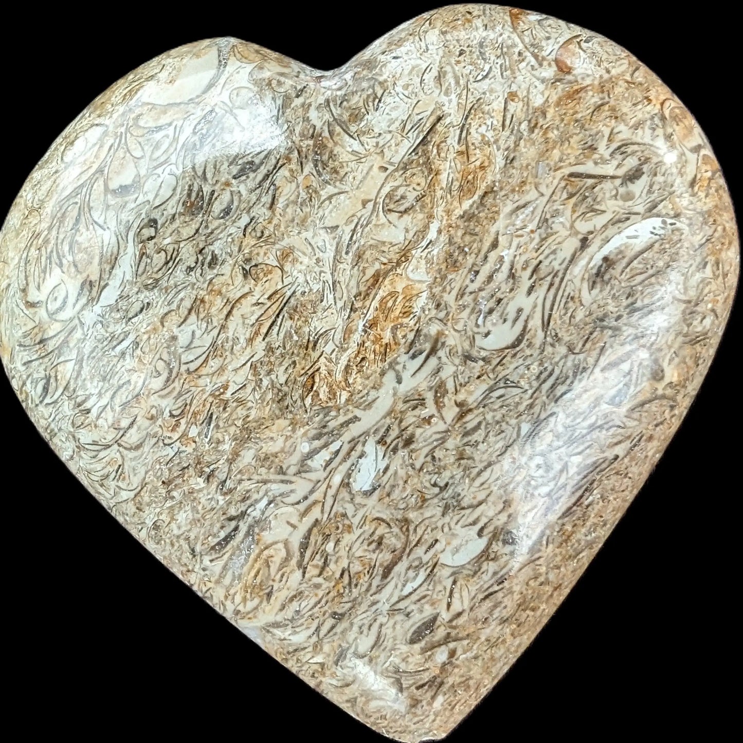 Dinosaur Bone Fossil heart from Madagascar 206g Rocks and Things