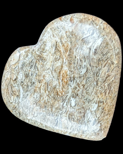 Dinosaur Bone Fossil heart from Madagascar 206g Rocks and Things