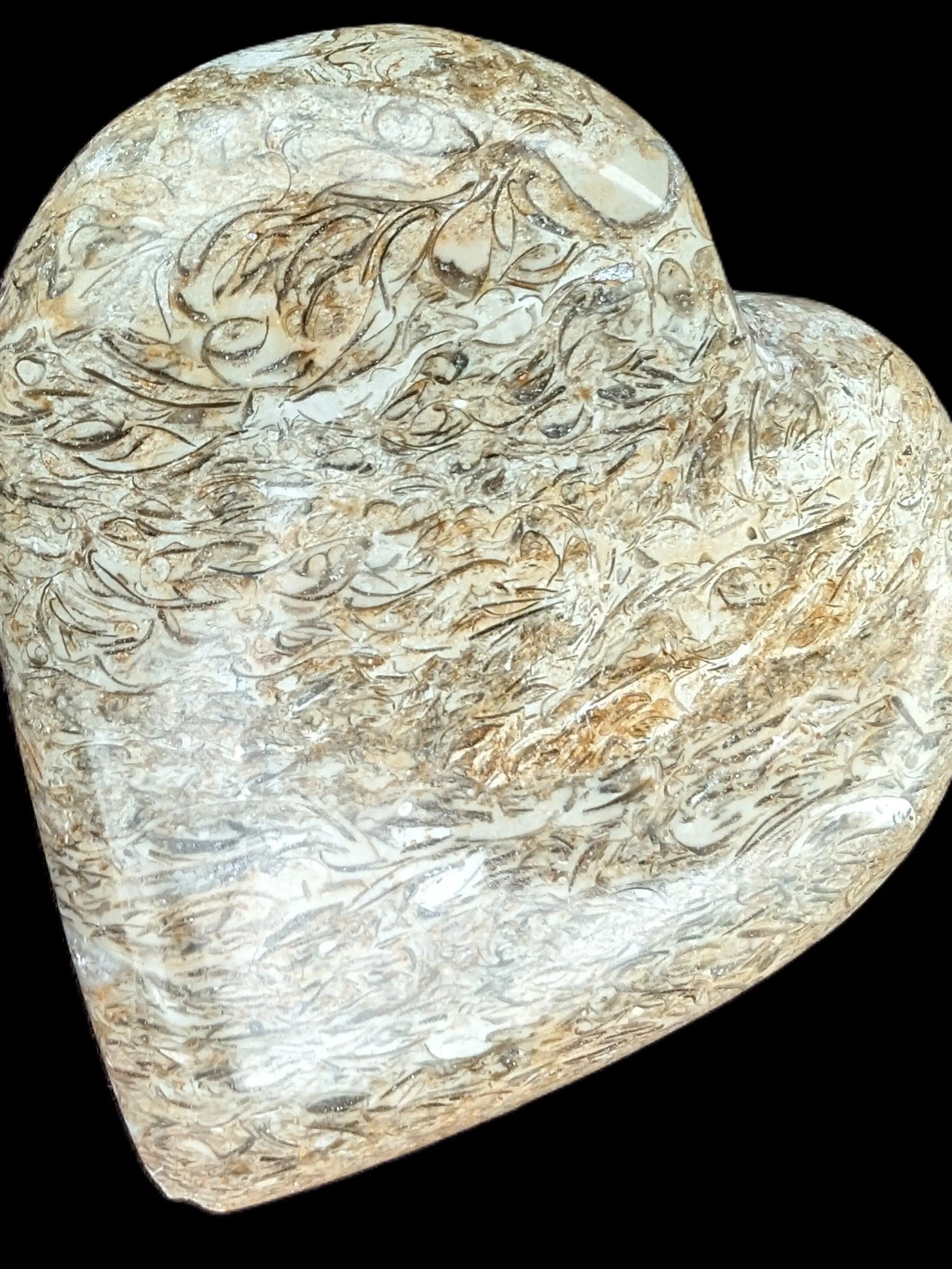 Dinosaur Bone Fossil heart from Madagascar 206g Rocks and Things