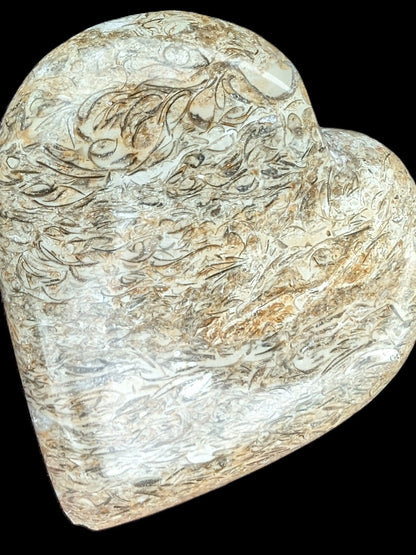 Dinosaur Bone Fossil heart from Madagascar 206g Rocks and Things