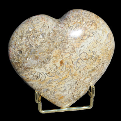 Dinosaur Bone Fossil heart from Madagascar 206g Rocks and Things