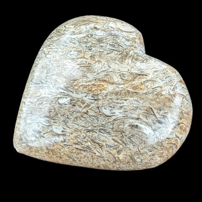 Dinosaur Bone Fossil heart from Madagascar 206g Rocks and Things