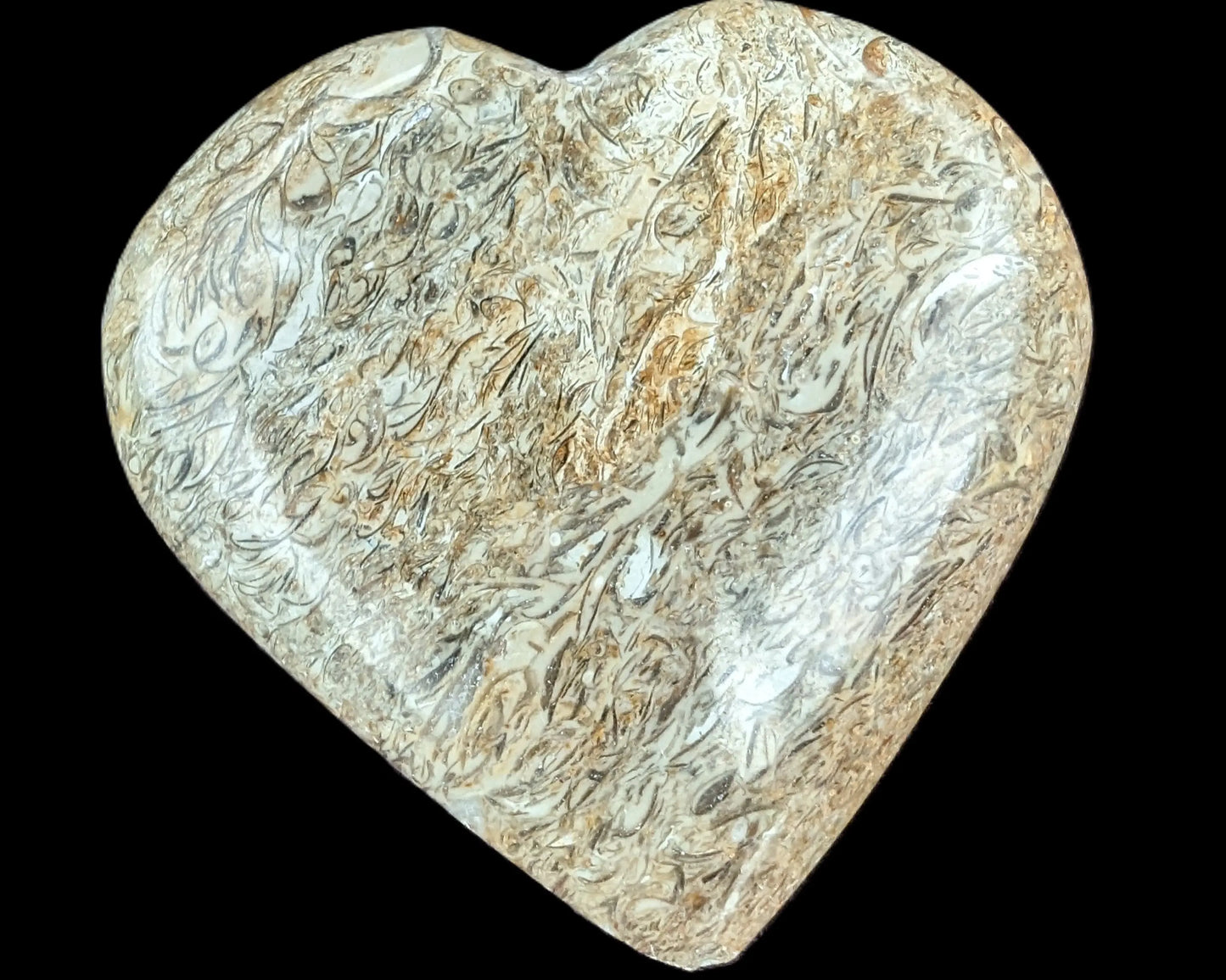 Dinosaur Bone Fossil heart from Madagascar 206g Rocks and Things