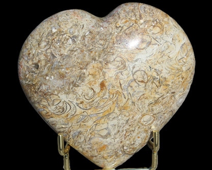 Dinosaur Bone Fossil heart from Madagascar 206g Rocks and Things