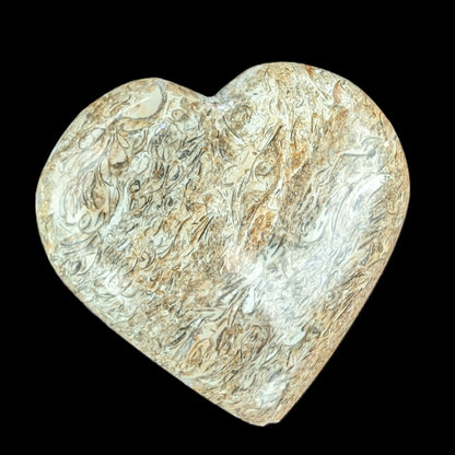 Dinosaur Bone Fossil heart from Madagascar 206g Rocks and Things