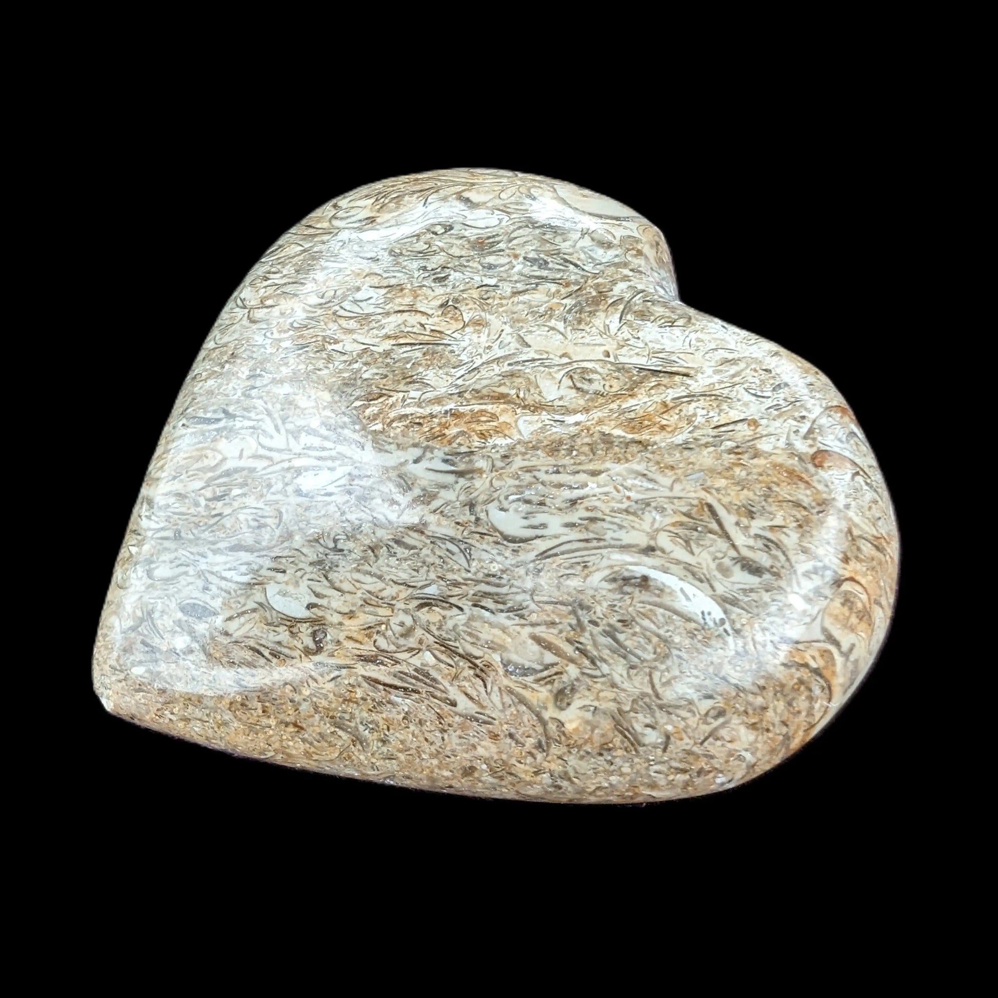 Dinosaur Bone Fossil heart from Madagascar 206g Rocks and Things