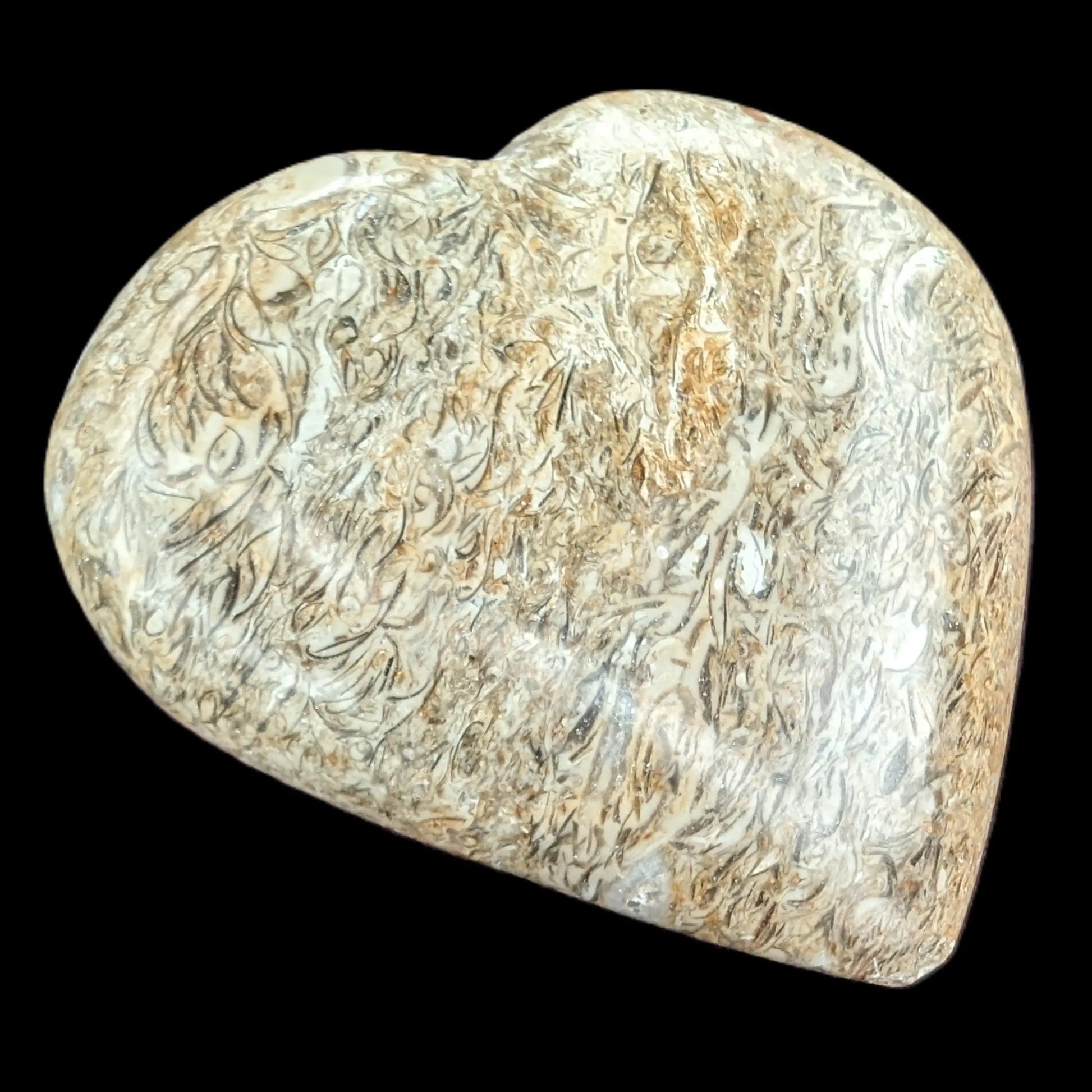 Dinosaur Bone Fossil heart from Madagascar 206g Rocks and Things