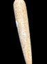Dinosaur Bone Fossil massage wand from Madagascar 140mm 134g Rocks and Things Store