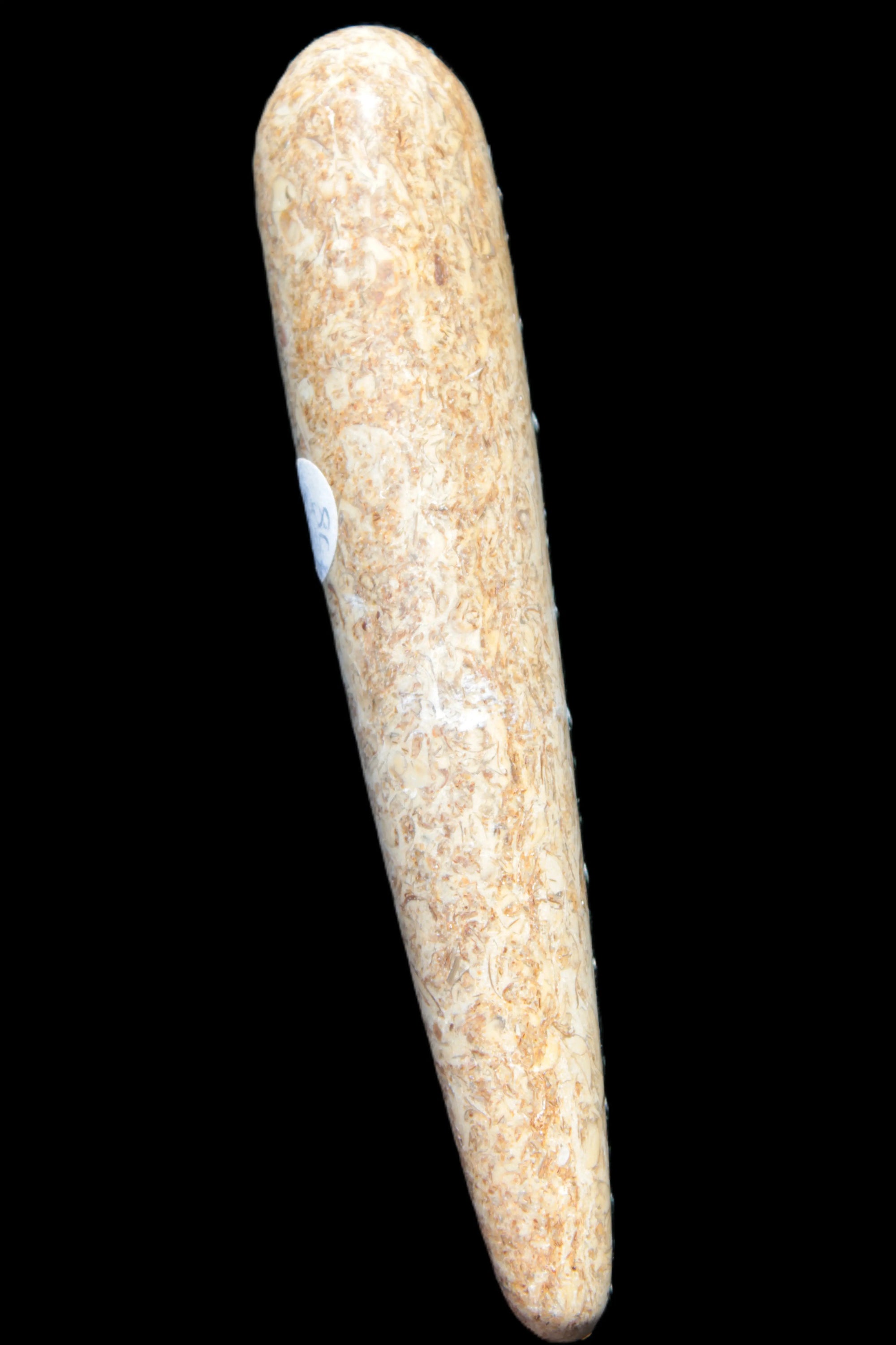 Dinosaur Bone Fossil massage wand from Madagascar 140mm 134g Rocks and Things Store