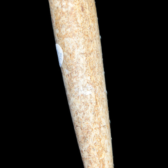 Dinosaur Bone Fossil massage wand from Madagascar 140mm 134g Rocks and Things Store