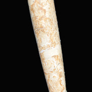 Dinosaur Bone Fossil massage wand from Madagascar 140mm 134g Rocks and Things Store
