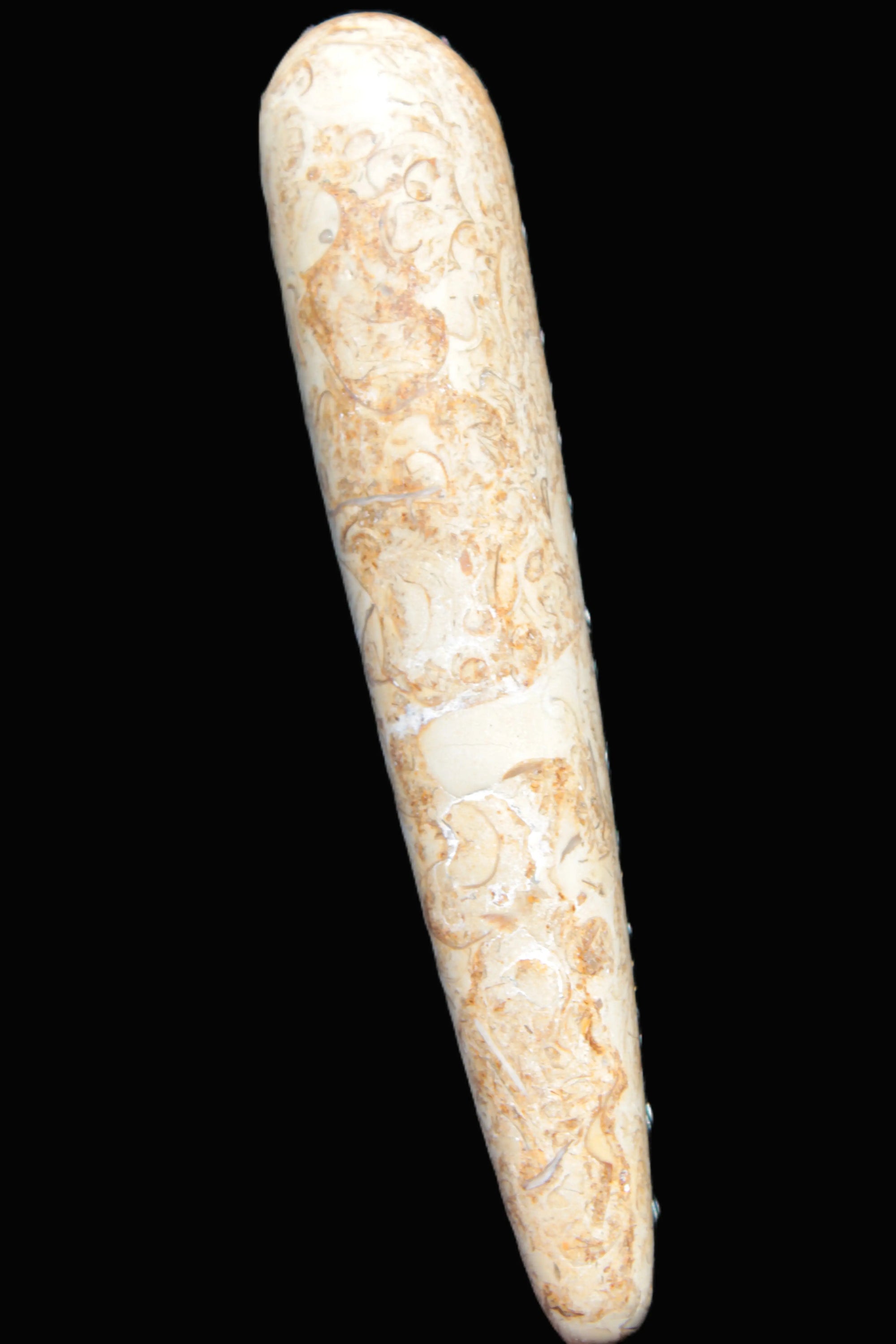 Dinosaur Bone Fossil massage wand from Madagascar 140mm 134g Rocks and Things Store