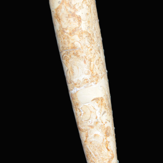 Dinosaur Bone Fossil massage wand from Madagascar 140mm 134g Rocks and Things Store
