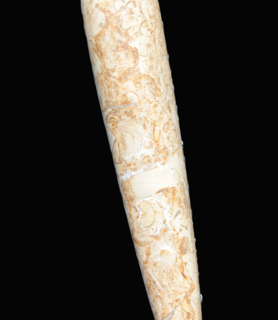 Dinosaur Bone Fossil massage wand from Madagascar 140mm 134g Rocks and Things Store