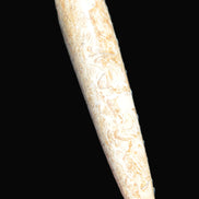 Dinosaur Bone Fossil massage wand from Madagascar 140mm 134g Rocks and Things Store