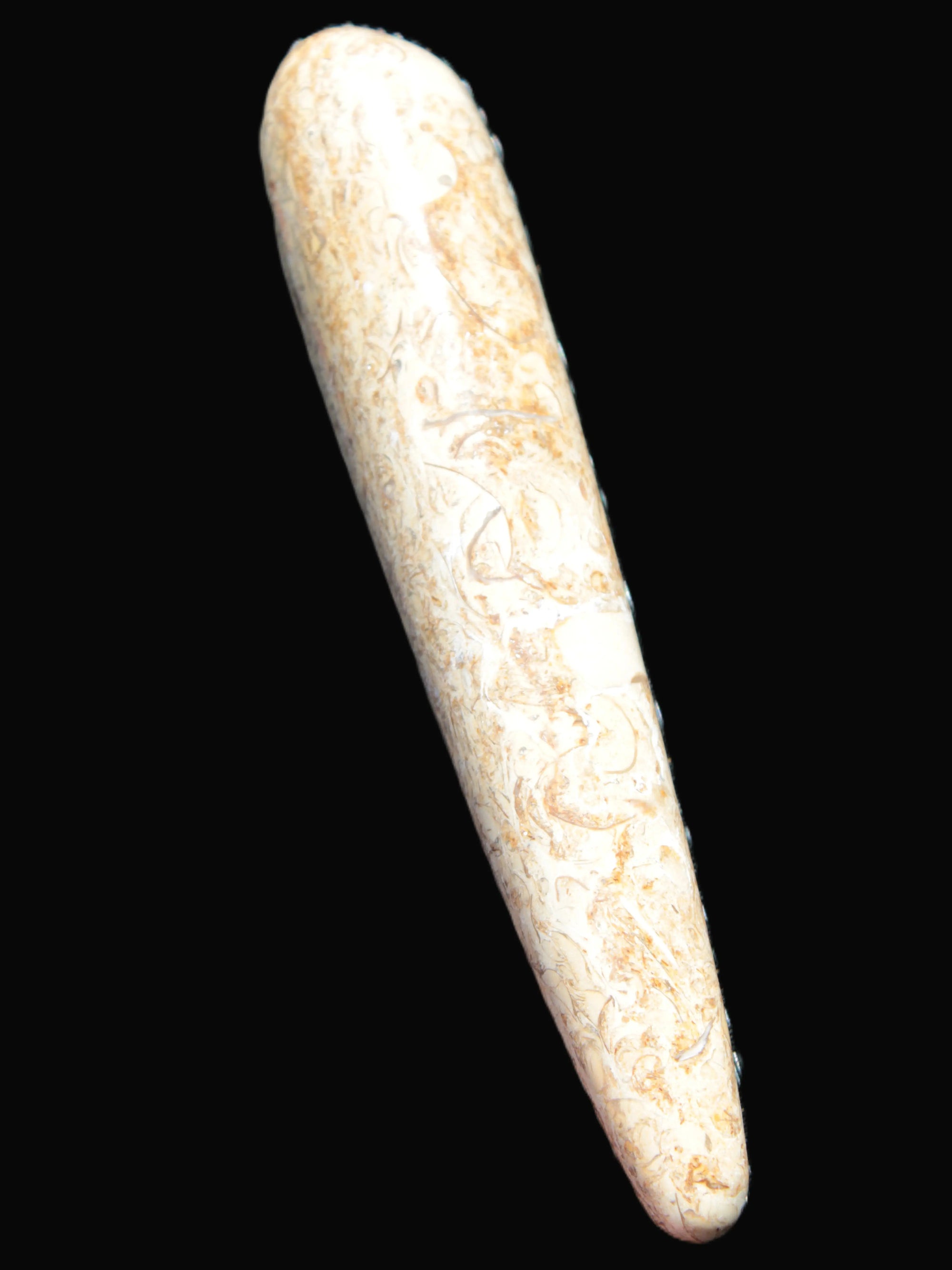 Dinosaur Bone Fossil massage wand from Madagascar 140mm 134g Rocks and Things Store