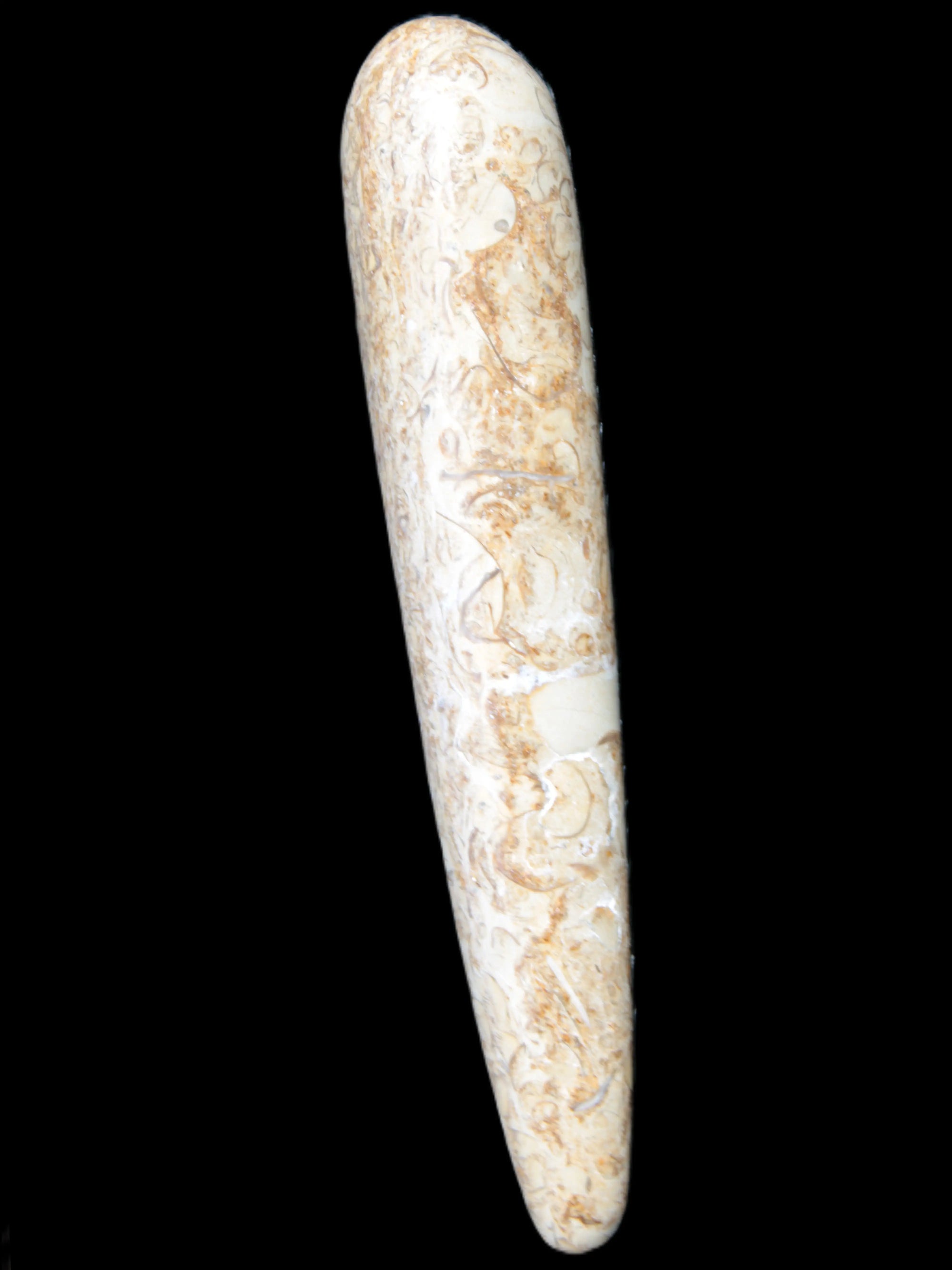 Dinosaur Bone Fossil massage wand from Madagascar 140mm 134g Rocks and Things Store