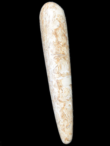 Dinosaur Bone Fossil massage wand from Madagascar 140mm 134g Rocks and Things Store