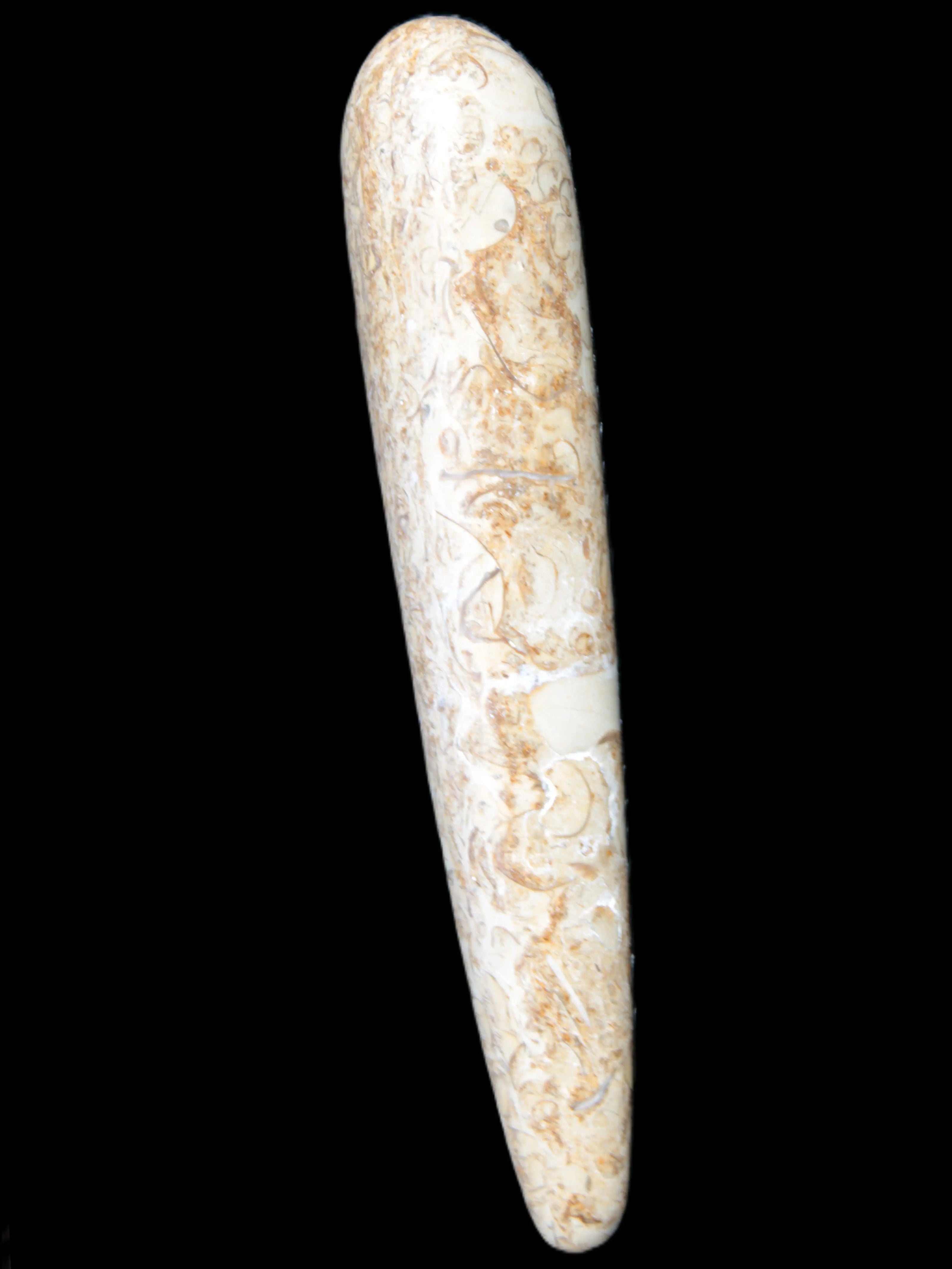Dinosaur Bone Fossil massage wand from Madagascar 140mm 134g Rocks and Things Store