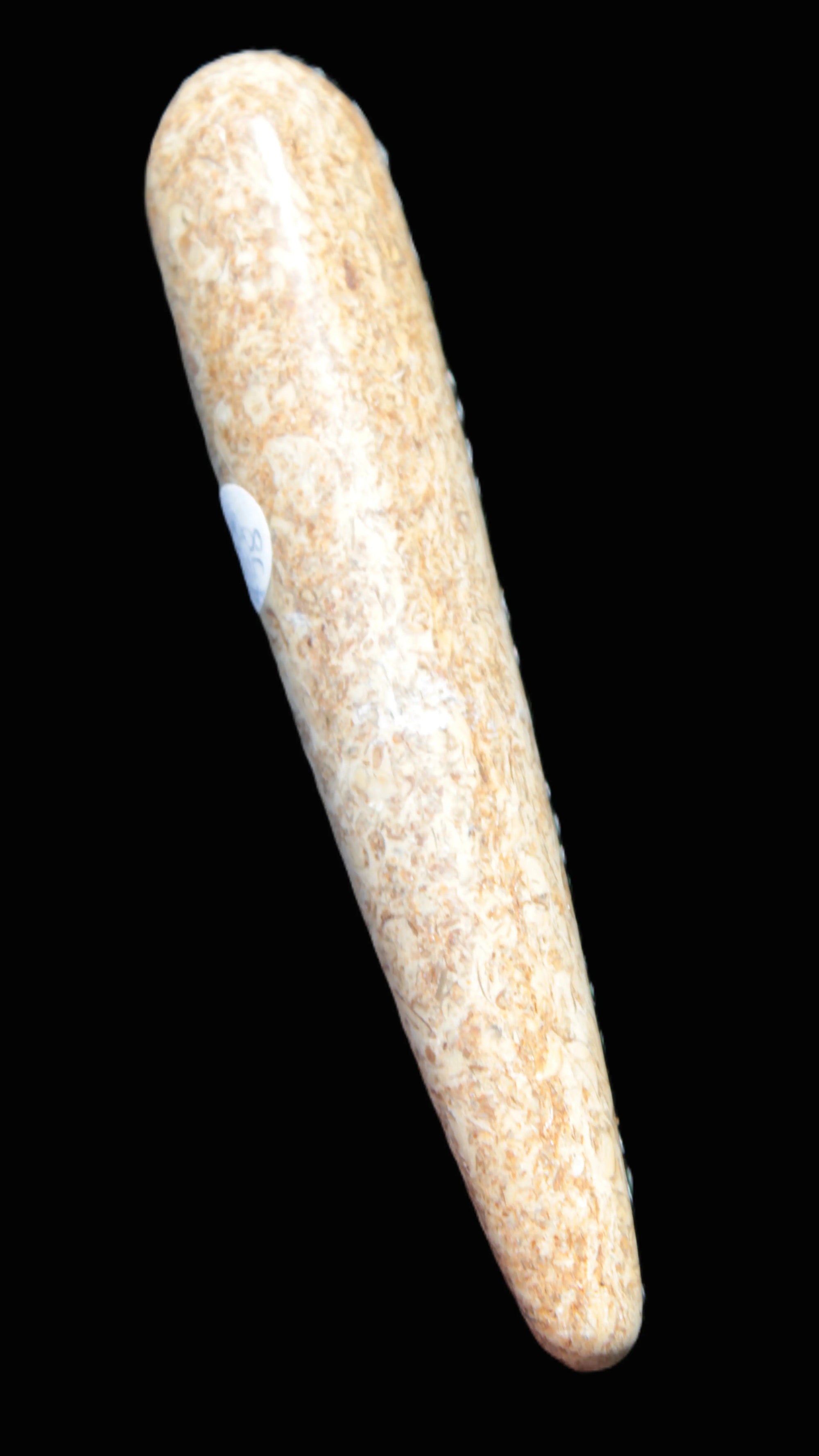 Dinosaur Bone Fossil massage wand from Madagascar 140mm 134g Rocks and Things Store