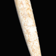 Dinosaur Bone Fossil massage wand from Madagascar 140mm 134g Rocks and Things Store