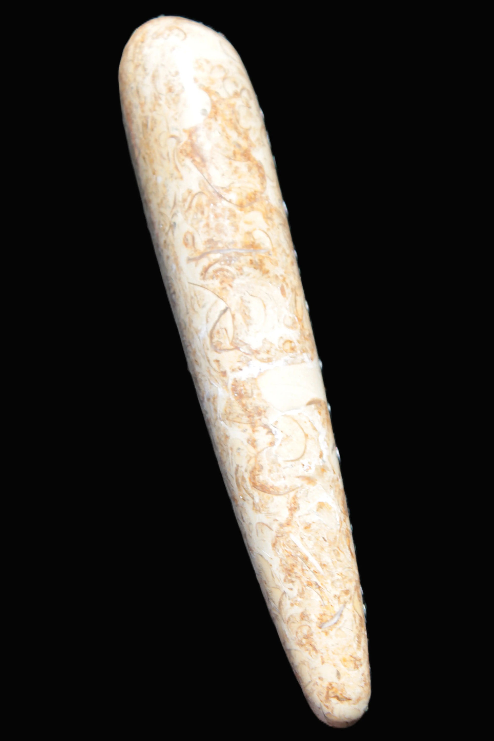 Dinosaur Bone Fossil massage wand from Madagascar 140mm 134g Rocks and Things Store