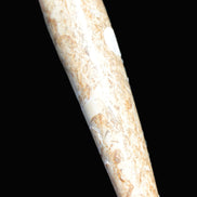 Dinosaur Bone Fossil massage wand from Madagascar 140mm 134g Rocks and Things Store
