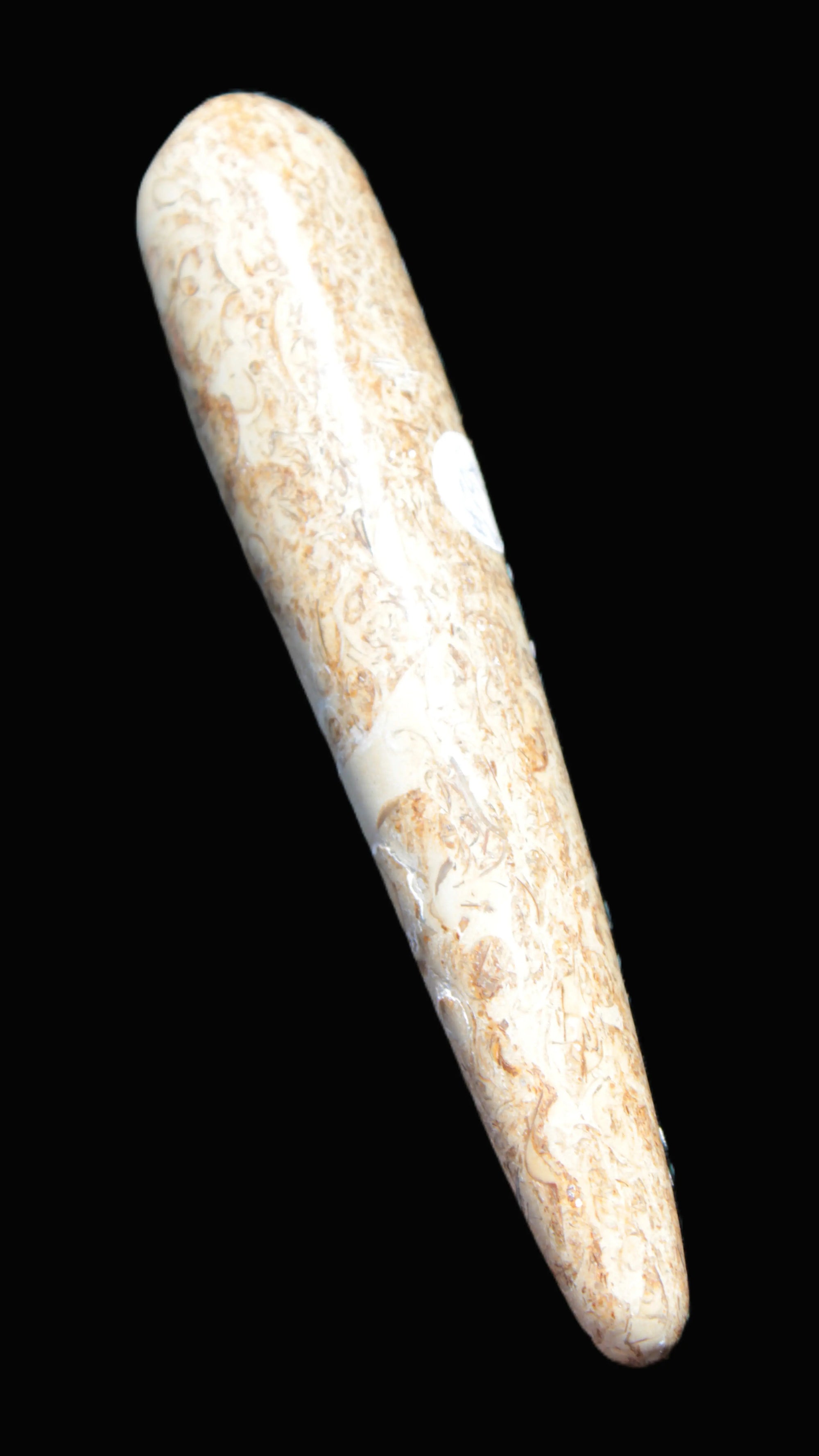 Dinosaur Bone Fossil massage wand from Madagascar 140mm 134g Rocks and Things Store