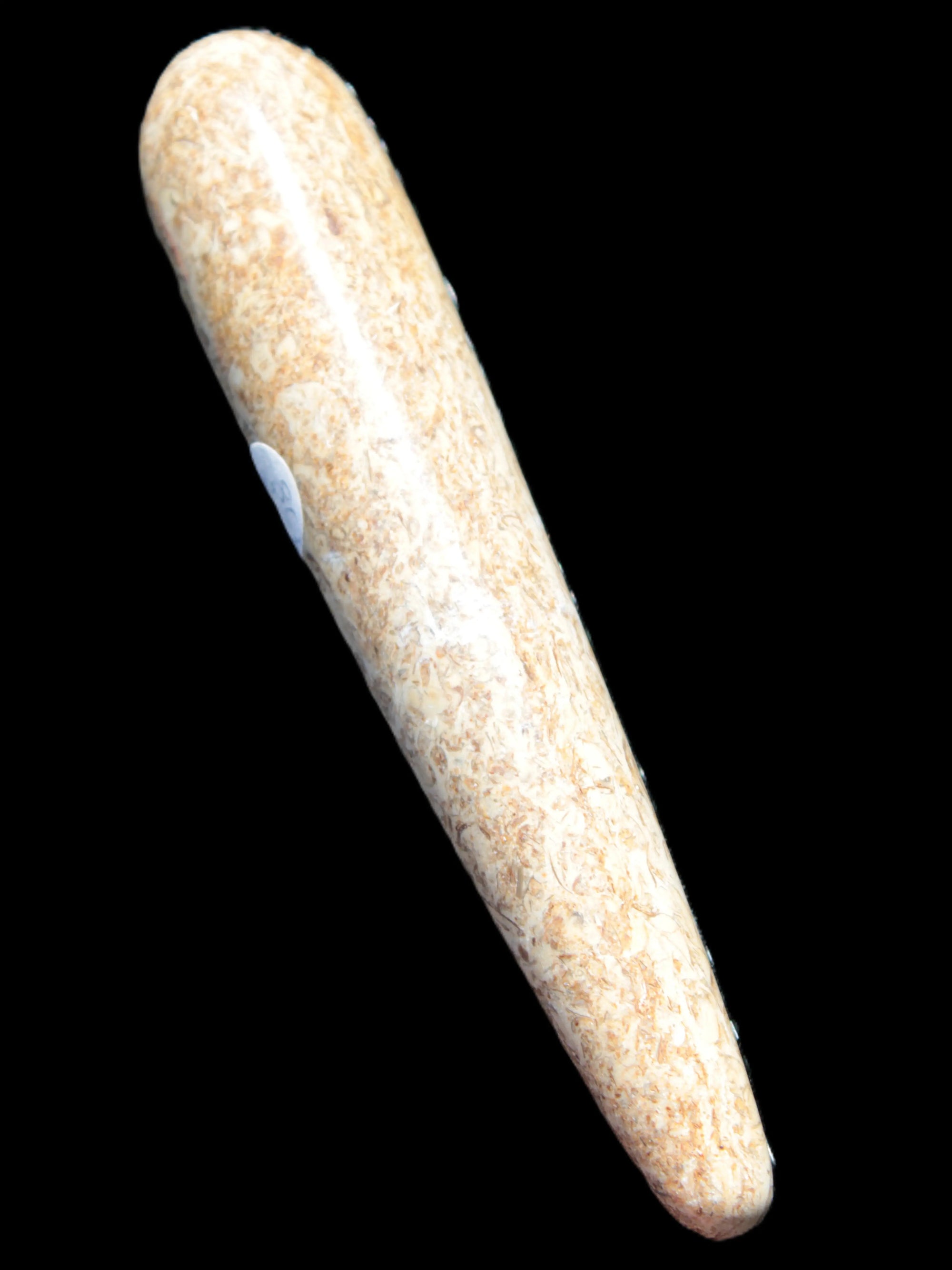 Dinosaur Bone Fossil massage wand from Madagascar 140mm 134g Rocks and Things Store